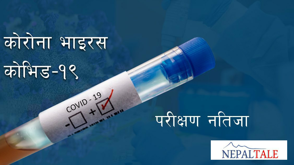 आज एकै दिन ४२६ जनामा कोरोना पुष्टि