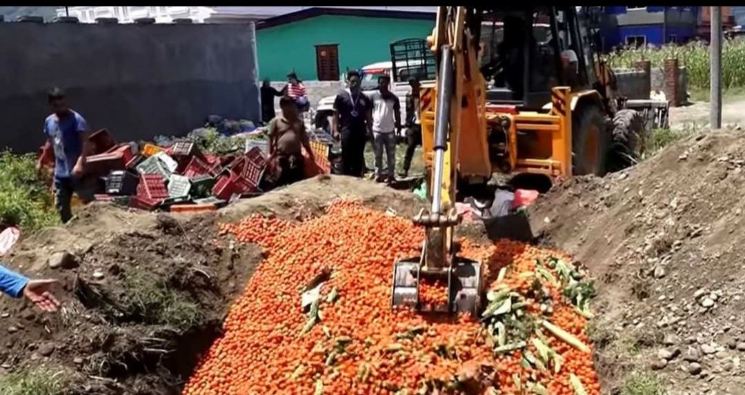 कोरोना सर्ने भन्दै तरकारी नष्ट गर्नेलाई कारबाही गर्न संसदीय समितिको निर्देशन