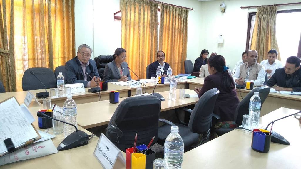 अंगीकृत नागरिकताका बिषयमा जुटेन सहमति, ५ दिनको समय थप