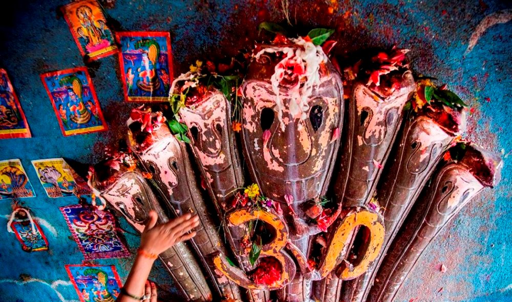 नाग पञ्चमी पर्व मनाइँदै, यस्तो छ धार्मिक महिमा
