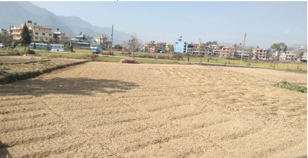 नक्कली धनी बनाएर गैरनेपालीलाई जग्गा बिक्री