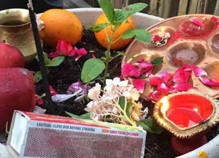 आज हरिशयनी एकादशी अर्थात तुलसी रोप्‍ने दिन