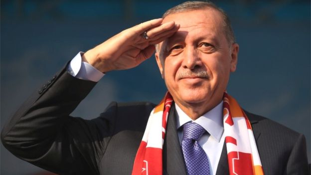 म्याक्रोँविरोधि एर्दोगानको प्रतिक्रियाको विरोध