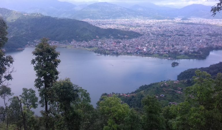 फेवातालको १६०९ रोपनी किन घट्यो ?