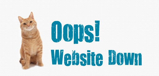 विश्वका ठूला अनलाइनहरुको वेबसाइट डाउन