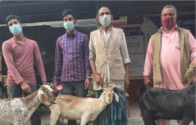 खसीको मासु भन्दै बाख्रीको मासु बेच्ने ४ जना भारतीय पक्राउ