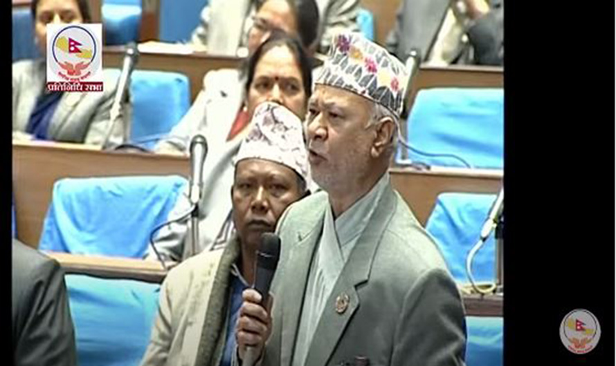 राष्ट्रपति र उपराष्ट्रपतिलाई छुट्टै सल्लाहकार आवश्यक छैन : सांसद पन्त