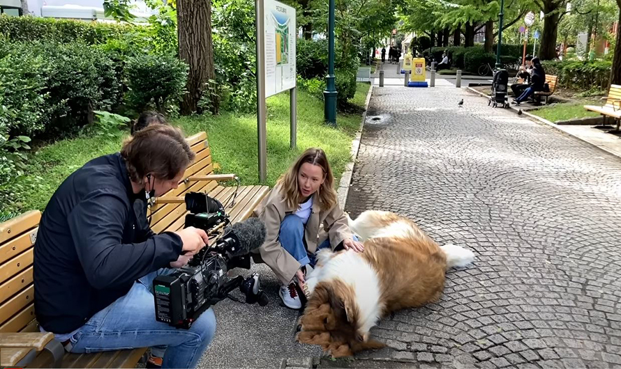 २२ लाख येन खर्च गरेर कुकुर बनेका युवा