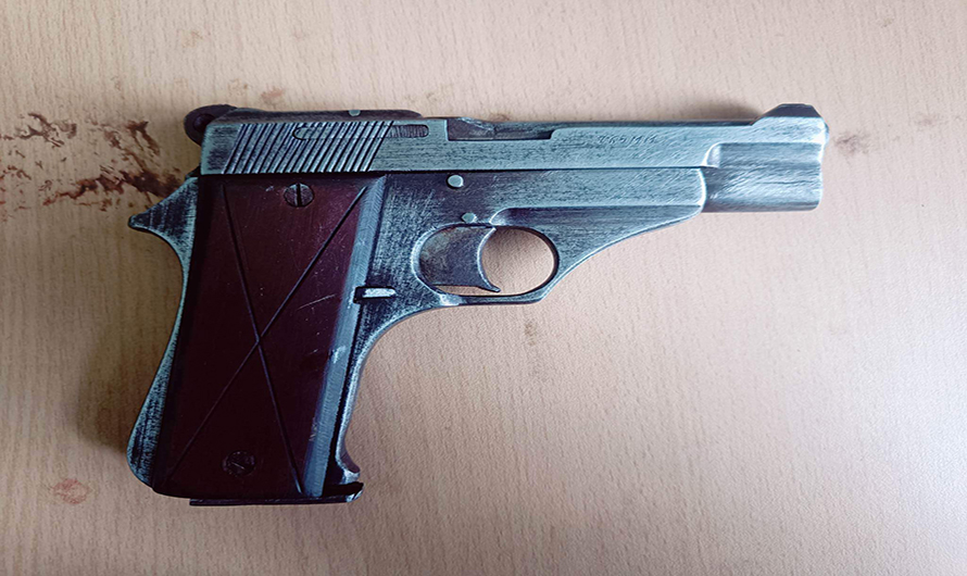 इजिप्टमा दुई इजरायलीको गोली हानी हत्या