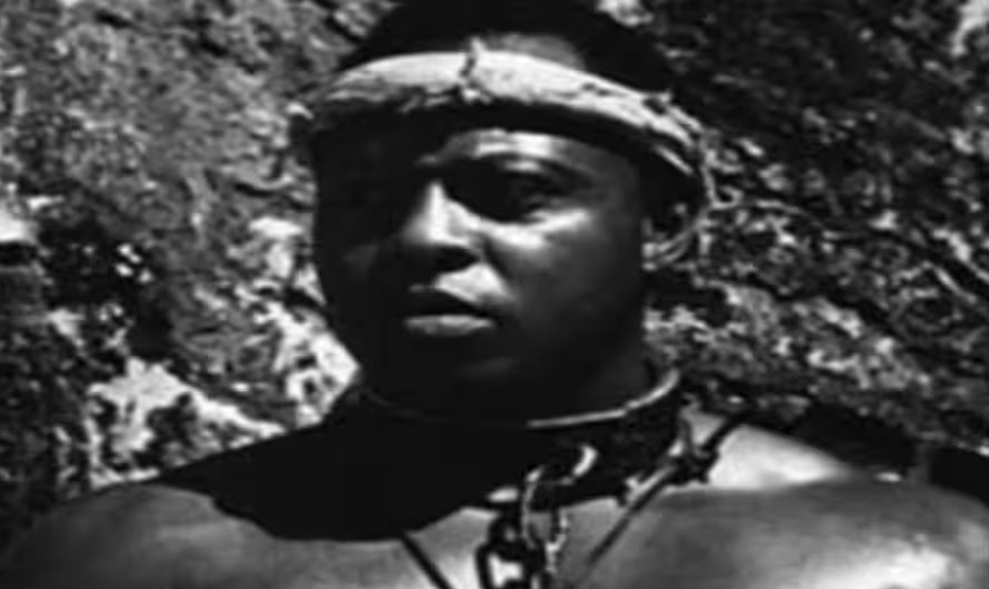 २ सय बढी सन्तान जन्माउने अफ्रिकी दास