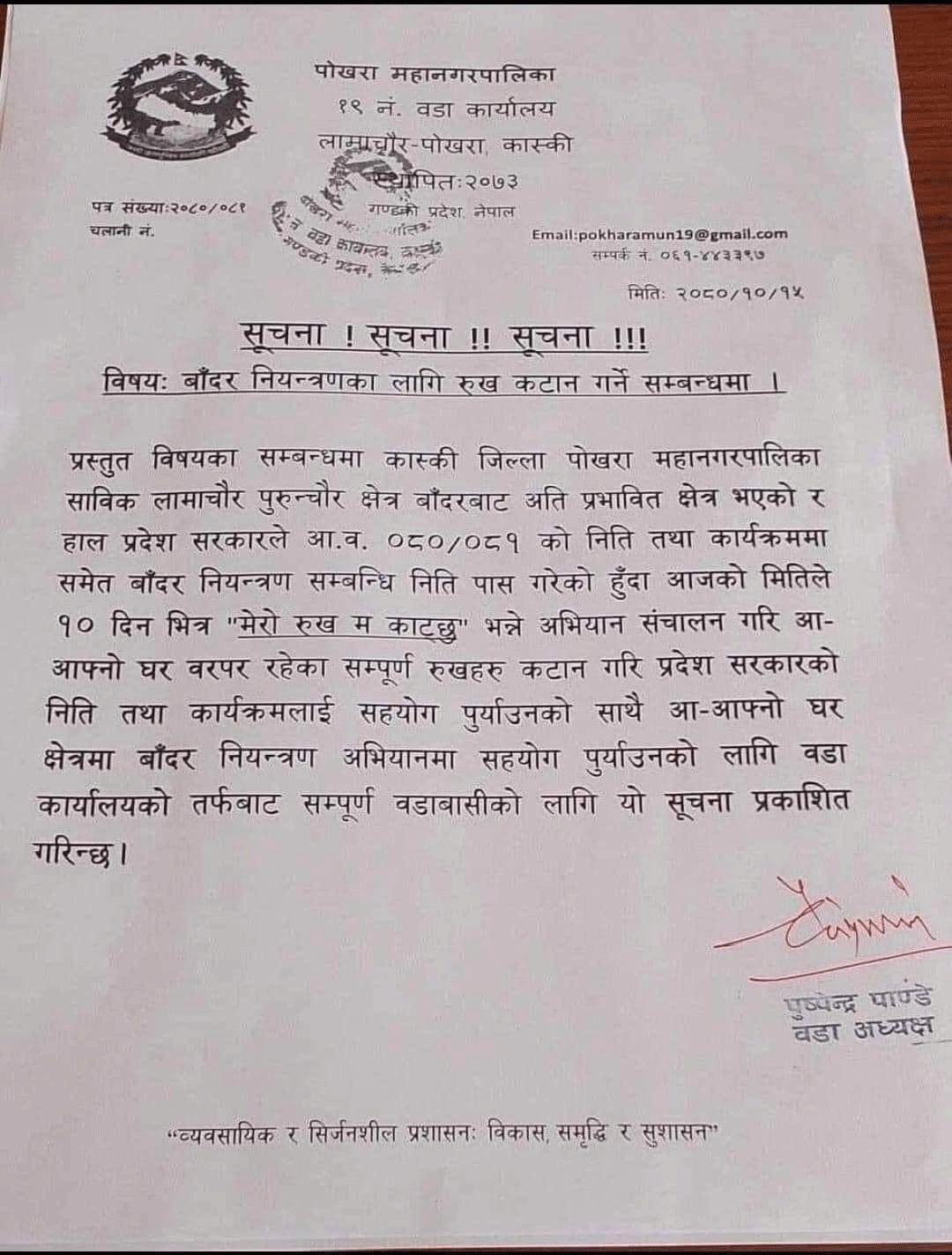 ‘मेरो रुख म काट्छु’