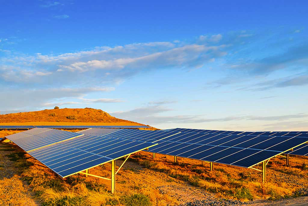 झापामा ‘पेलेट ऊर्जा’ उत्पादन