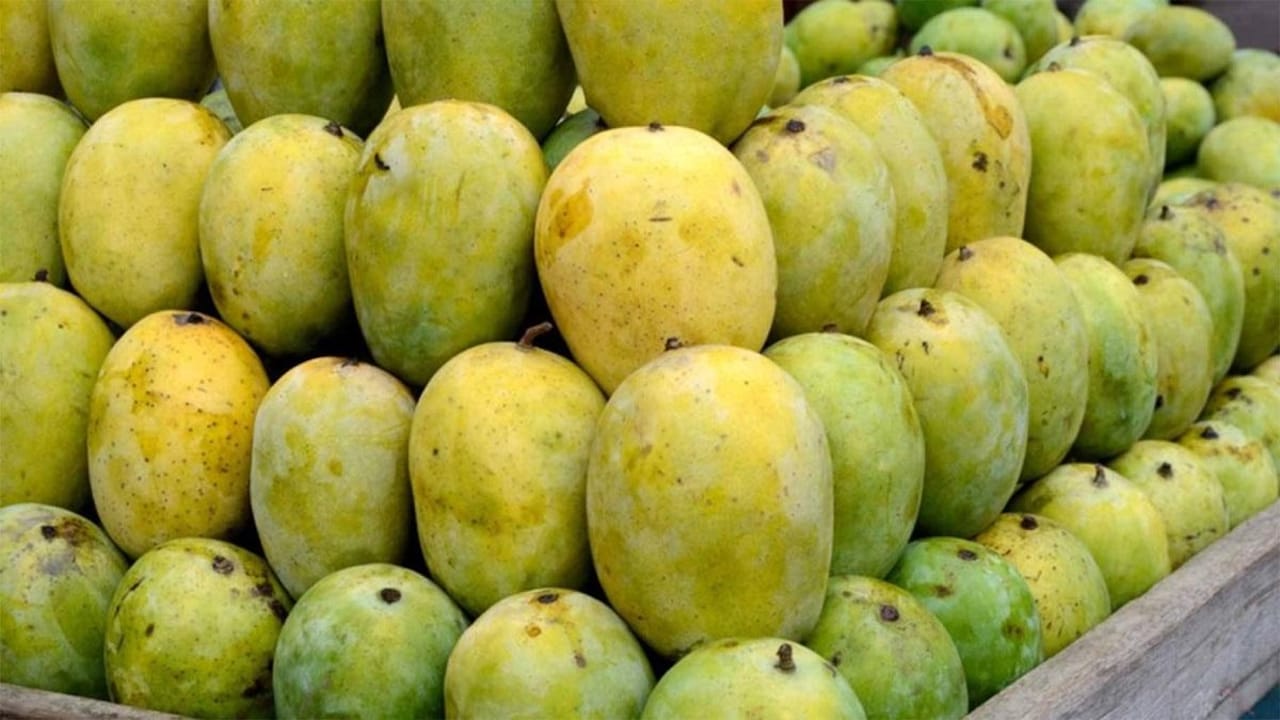 आँप खानेबित्तिकै किन लाग्छ केहीलाई पखाला ?