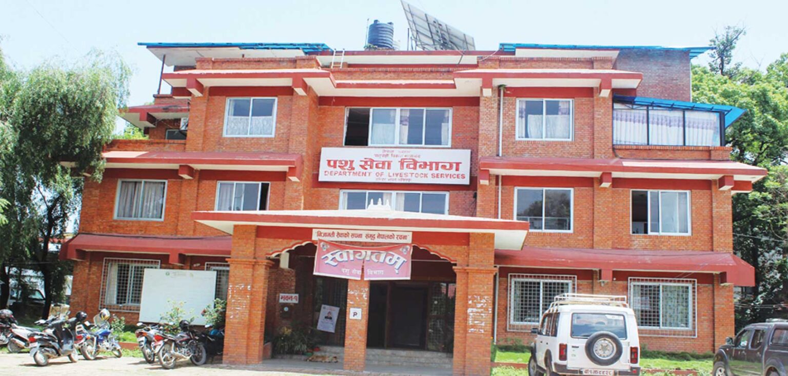 बर्डफ्लु संक्रमित कुखुरा बिक्री गरे कडा कारबाही हुने