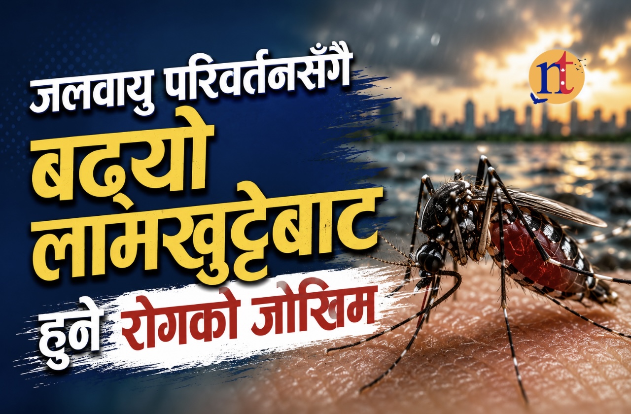 जलवायु परिवर्तनसँगै बढ्यो लामखुट्टेबाट हुने रोगको जोखिम